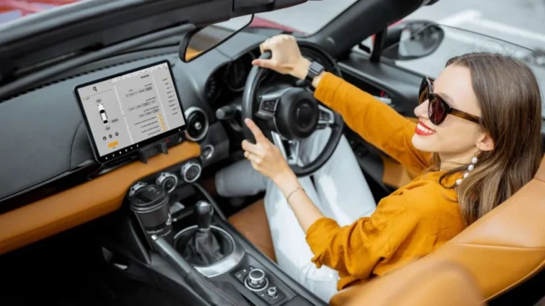 The Future of Luxury Car Services